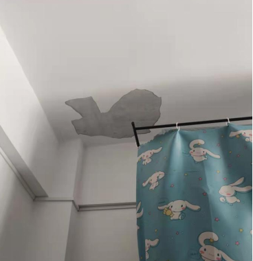 免费观看已满十八岁电视剧动漫版