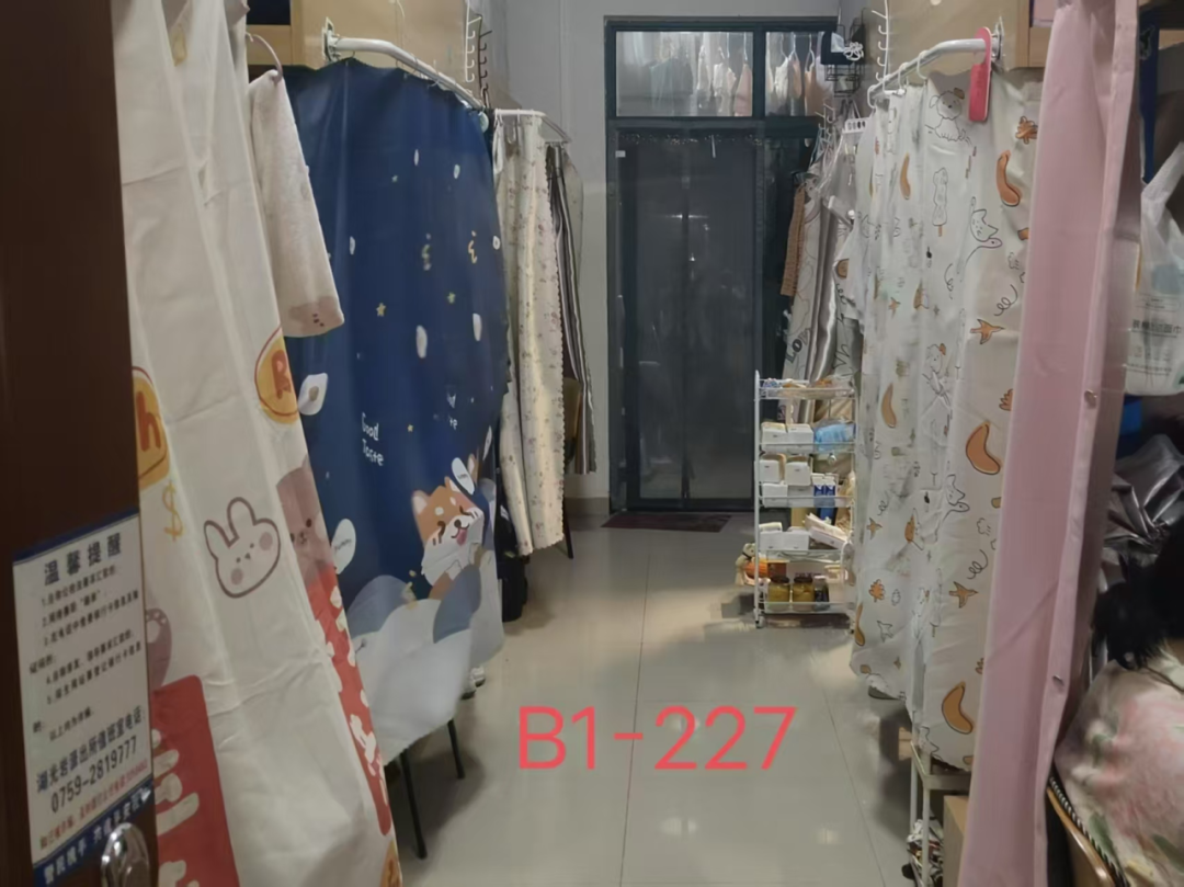 免费观看已满十八岁电视剧动漫版