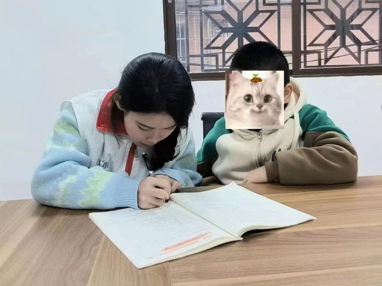 免费观看已满十八岁电视剧动漫版