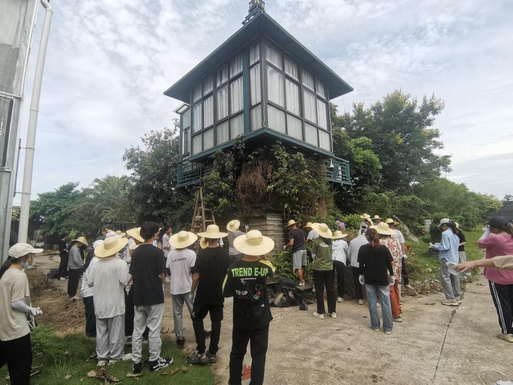 免费观看已满十八岁电视剧动漫版