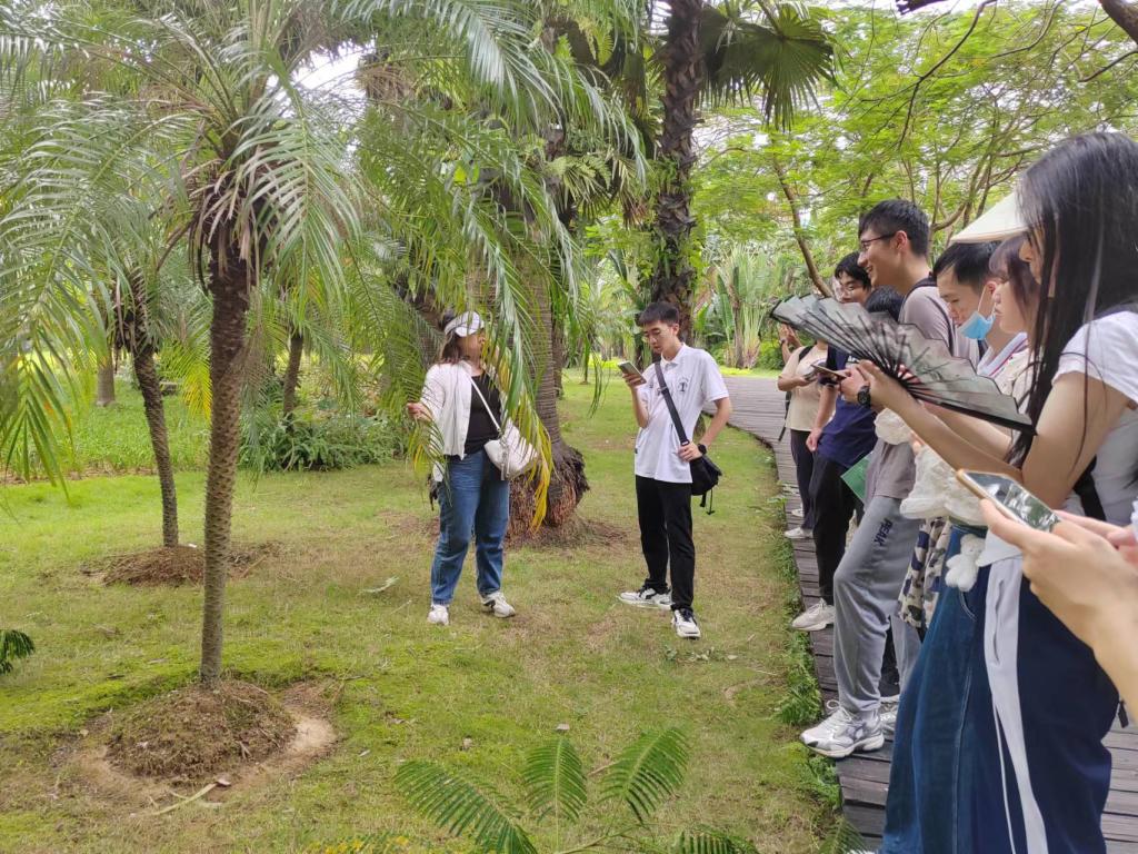 免费观看已满十八岁电视剧动漫版