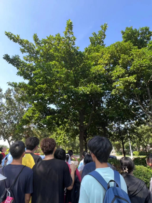 免费观看已满十八岁电视剧动漫版