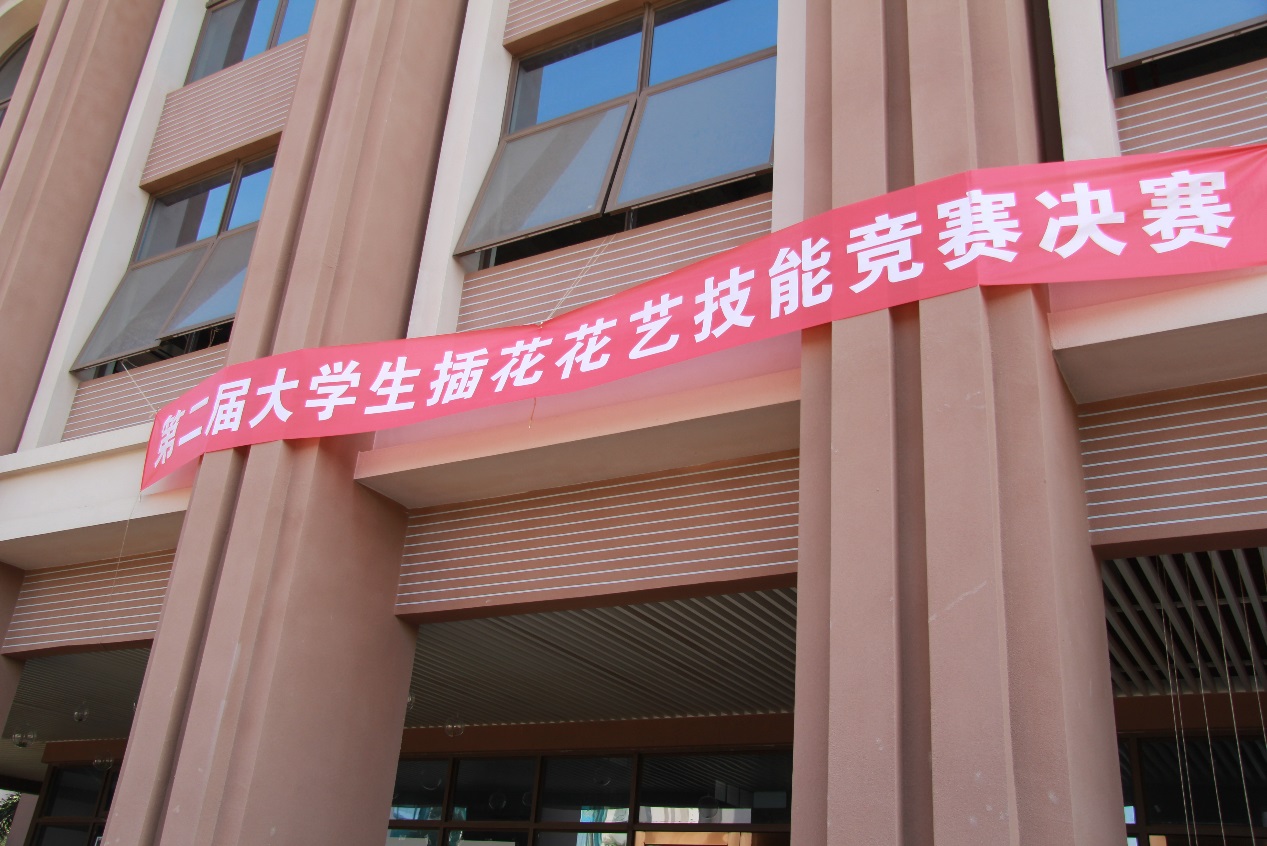 免费观看已满十八岁电视剧动漫版