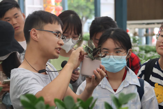 免费观看已满十八岁电视剧动漫版