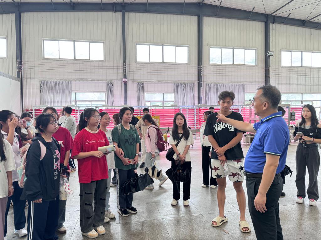 免费观看已满十八岁电视剧动漫版