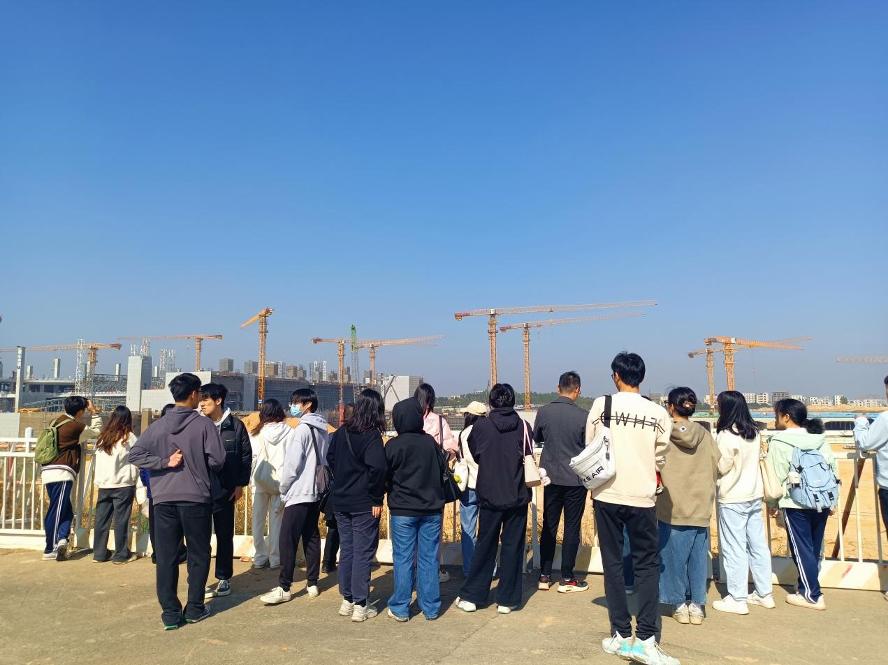 免费观看已满十八岁电视剧动漫版