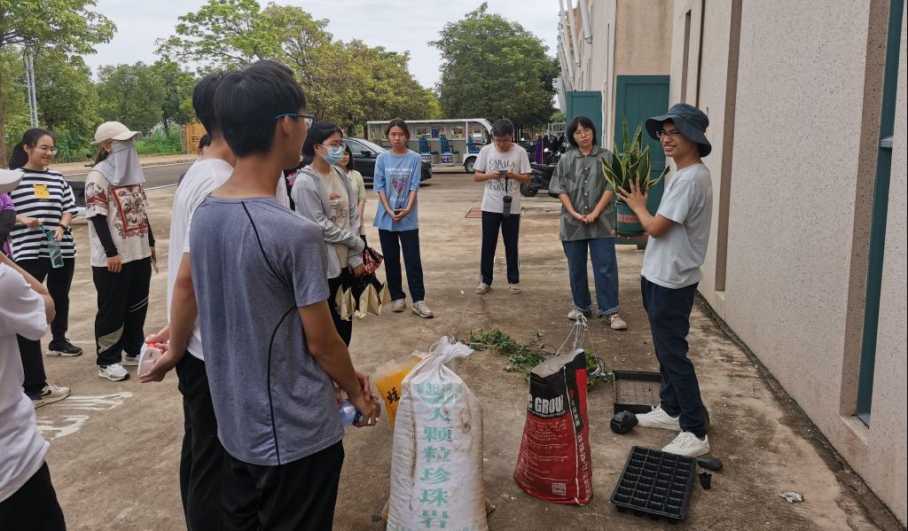 免费观看已满十八岁电视剧动漫版