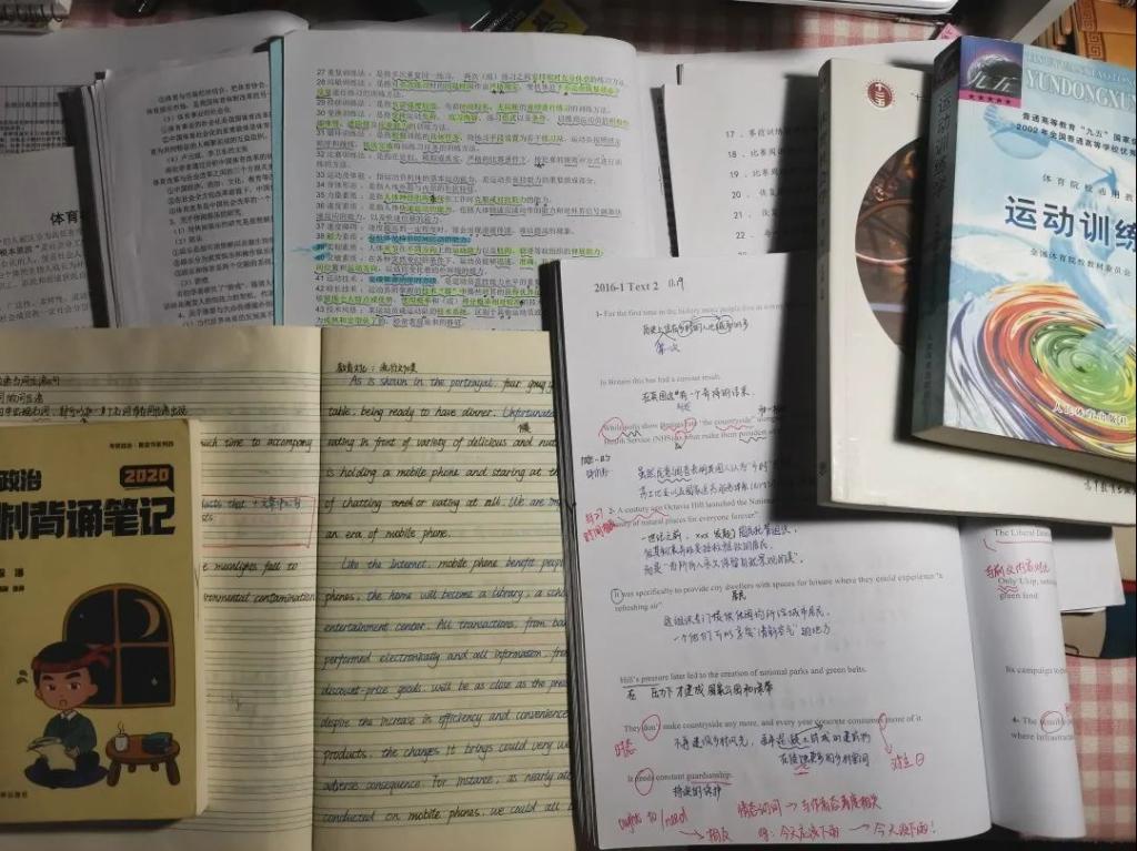 免费观看已满十八岁电视剧动漫版
