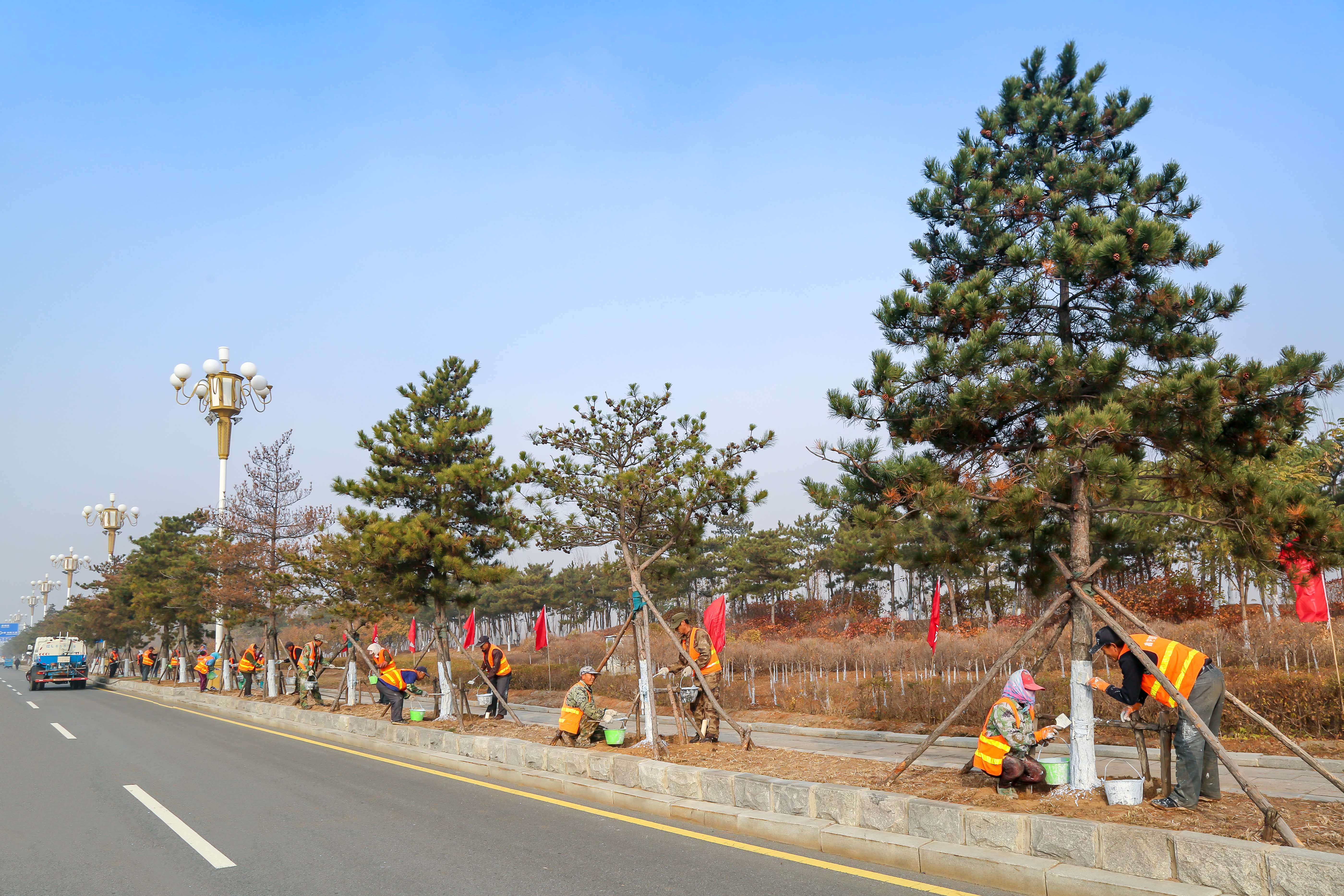 免费观看已满十八岁电视剧动漫版