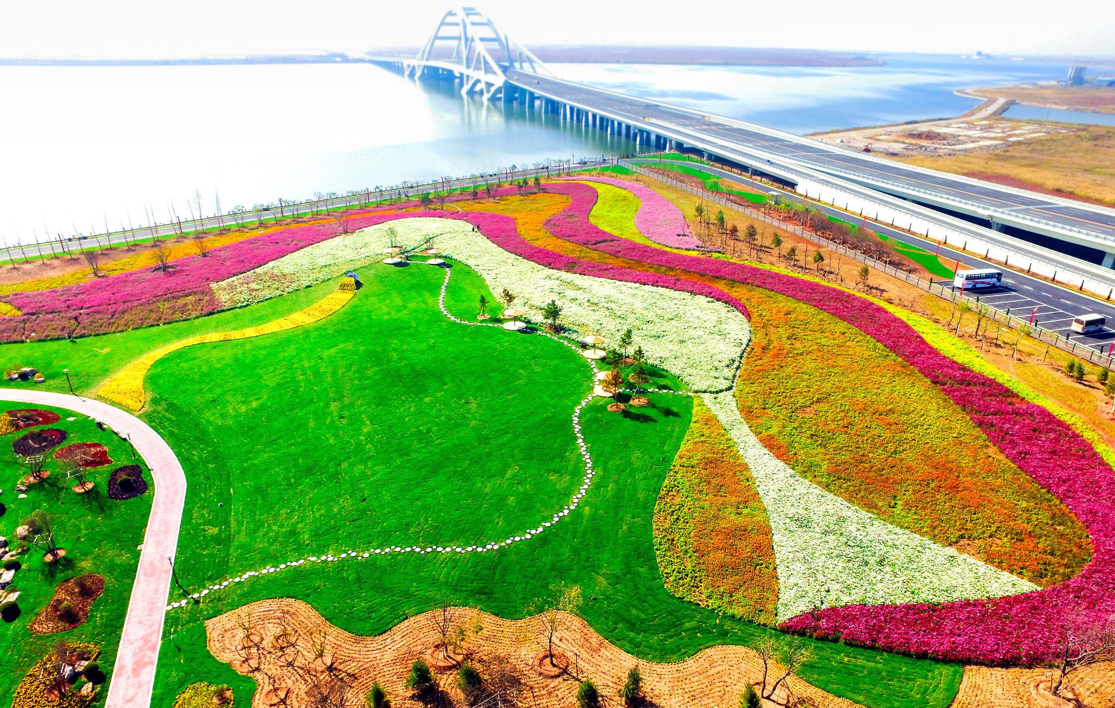 免费观看已满十八岁电视剧动漫版