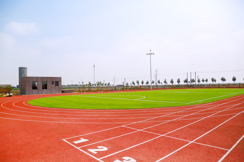 免费观看已满十八岁电视剧动漫版