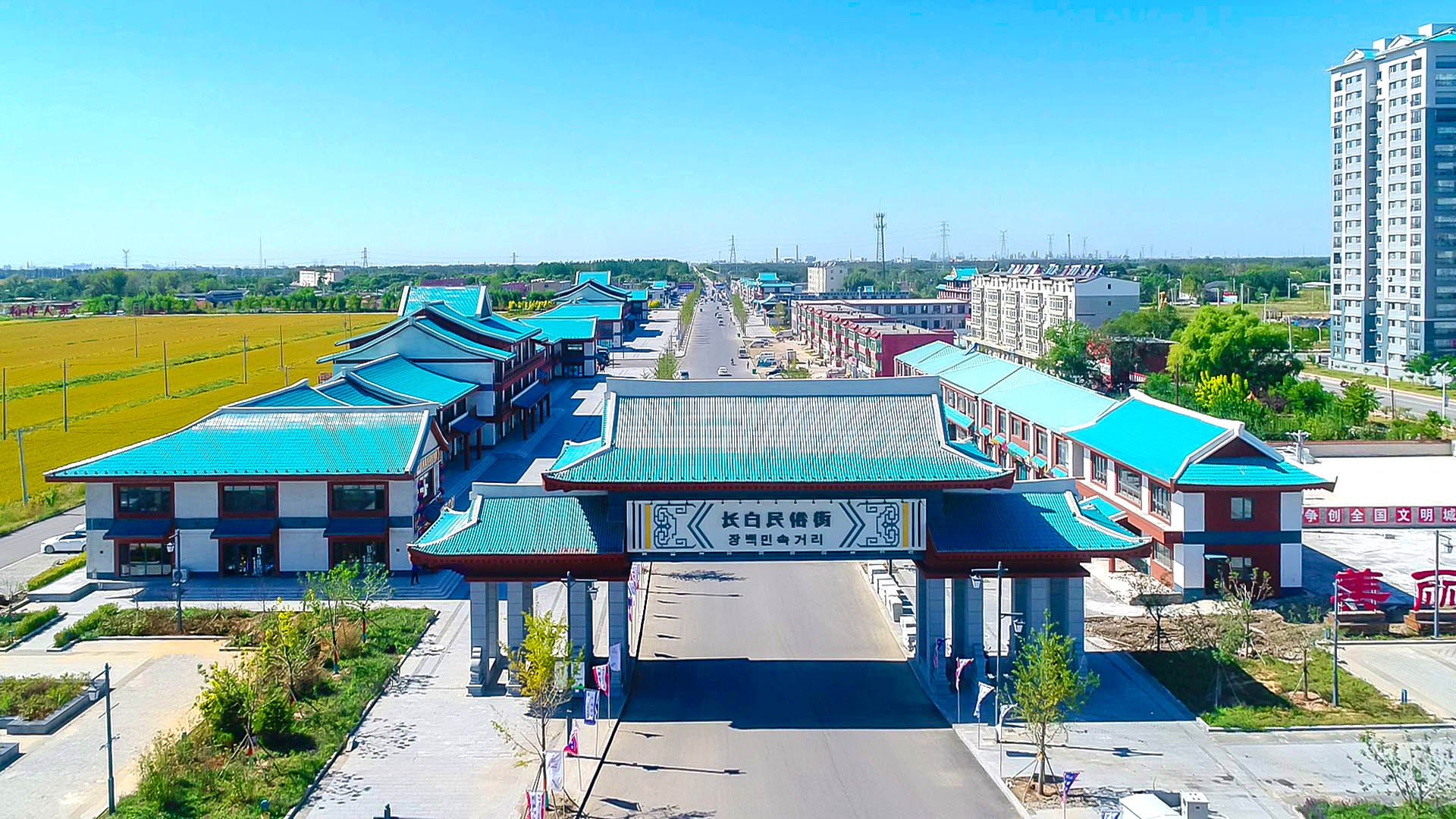 免费观看已满十八岁电视剧动漫版